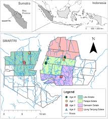Minyak tanah disebut juga dengan kerosene merupakan bahan bakar jenis distilat yang tidak berwarna (jernih). Assessing The Effects Of Oil Palm Replanting On Arthropod Biodiversity Pashkevich 2021 Journal Of Applied Ecology Wiley Online Library