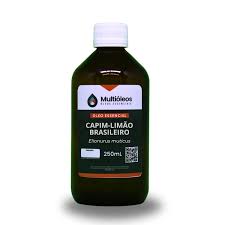 Image result for Elionurus muticus