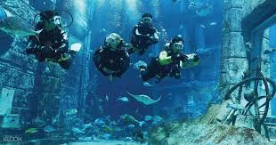 Dive (american football), a type of play in american football. Dubai Atlantis Discovery Scuba Diving Experience At The Lost Chambers Aquarium