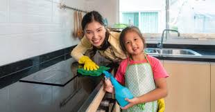 The government's made it a lot easier to apply online for a maid. How Much Does It Cost To Hire A Maid In Singapore Tiq By Etiqa