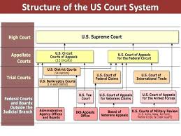 us court system hierarchy chart bedowntowndaytona com