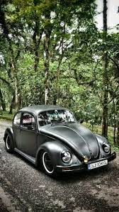 27 Vw Bugs Ideas