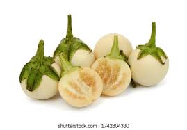 Image result for Solanum macrocarpon