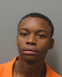 Former Student Sentenced to 20 Years for 2017 Lee High School Shooting