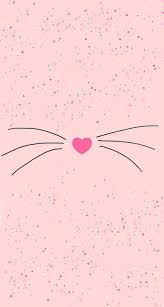 Papeis De Parede Planos De Fundo Wallpapers Papeis De Parede Animais Wa Papel De Parede Bonito Para Iphone Papel De Parede De Gato Plano De Fundo Iphone Aqui você vai encontrar os melhores, para deixar o celular com seu estilo. papeis de parede planos de fundo