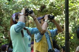 The best time to visit the lentang forest reserve is during the dry season; Best Place To Visit In Pahang June 2019 Blog S Goasiadaytrip
