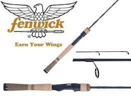 Fenwick Eagle 6 6 Medium Light Fast Spinning Rod Eag66mlfs Ebay