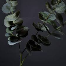 Free shipping and free returns on eligible items. Eucalyptus Green Stem Spray Liv S Solihull