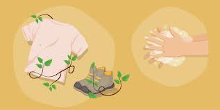 We did not find results for: Guide To Removing Poison Ivy Urushiol From Clothes And Skin Outdoor Blog