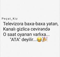 gulmeli_videolarr | #gulmelivideolarr #gulmeli #maragli #maraqlıpaylaşımlar  #sekiller #şekil #komikvideolar #mirt #maraqlisekiller | Instagram