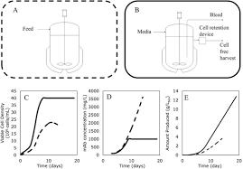 Check spelling or type a new query. Perfusion Mammalian Cell Culture For Recombinant Protein Manufacturing A Critical Review Sciencedirect