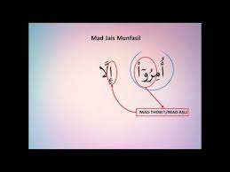 Materi tentang mad jaiz munfasil yang berisi tentang pengertian, contoh, cara baca, di lengkapi oleh gambar. Belajar Tajwid Hukum Mad Jaiz Munfasil Youtube
