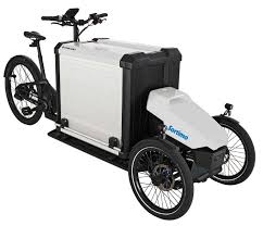 Procargo Ct1 System Unit 5 Bike Transporting Electric Bicycle Eletric Bike