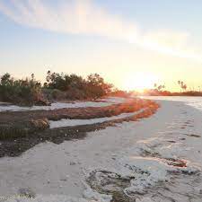 We did not find results for: Save The Dunedin Causeway Bird Sanctuary Home Facebook