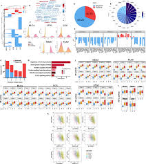Learn more about the types of cancer we treat, including symptoms and risk factors. Glycolysis Associated Lncrnas Identify A Subgroup Of Cancer Patients With Poor Prognoses And A High Infiltration Immune Microenvironment Bmc Medicine Full Text