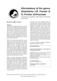 Image result for Elatostema paivaeanum