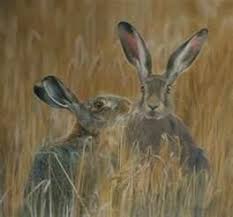 Pin By Tere Gidlof On Hares Wildlife Artists Wildlife Art Wild Hare