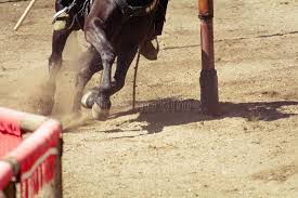 Maybe you would like to learn more about one of these? Galop Stock Photo Image Of Speed Galloping Beauty Girl 2542186