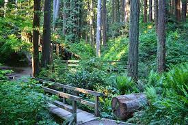 The list below includes 41 free or cheap things to do in or near arcata, california, including 29 different types of inexpensive activities like movie theaters. 12 Top Rated Attractions Things To Do In Eureka Ca Planetware