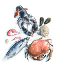 Food Illustration Hand Drawn Aquarell Illustration Digital Art Illustration Free Vector Art