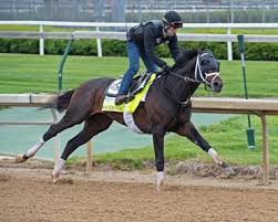 Costumes, music, docs, cinematography and … emmy predictions slugfests: The Field For The 2021 Kentucky Derby Slideshow Bloodhorse