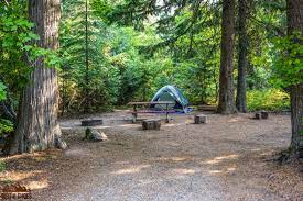 The park's 13 campgrounds offer a total. All About Camping In Glacier National Park Dirt In My Shoes