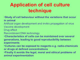 Ments and achievements in animal cell technology. Introduction To Cell Culture Techniques