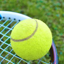 Yellow Tennis Balls Sports Tournament Pressurised Head Ball Excellent Bounce Durability Fun Beach Cricket Practice Dog T Sports Tournaments Tennis Tennis Balls