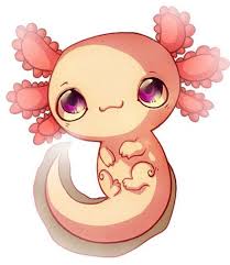 Each of these chibi pokemon characters is adorable and easy to draw. Kawaii Axolotl Drawing Easy 1000 Images About Drawing On Pinterest Legend Of Now For The Eyes Draw Two Small Circles On The Mouth With A Smaller