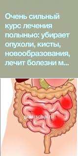 как избавиться от глистов в домашних условиях за короткий срок Ochistka Organizma Zdorove I Molodost Navsegda Zdorove Medicina Tovary Dlya Zdorovya