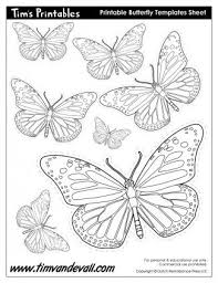 Printable Butterfly Templates And Butterfly Shapes Blank Pdf Shapes Butterfly Template Butterfly Printable Butterfly Coloring Page