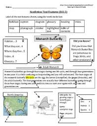 Collection Text Features Worksheets 2nd Grade Pictures Images Are Phootoo Text Features Worksheet Nonfiction Text Features Text Features