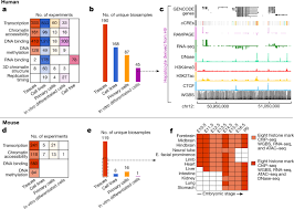 Diy ideen, die sie zum schmunzeln bringen. Expanded Encyclopaedias Of Dna Elements In The Human And Mouse Genomes Nature