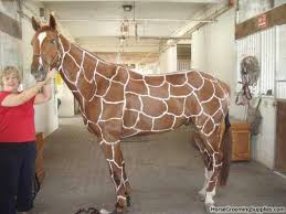 Insbesondere meister yoda hat es den meisten jungen angetan. Diy Giraffe Costume Maskerix Com Pferde Kostume Kostume Fur Pferde Halloween Kostum Pferd
