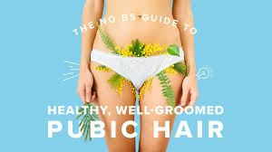 We know the ins and outs of pubic hair removal. The No Bs Guide To Grooming Your Pubic Hair