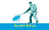 فارس علي