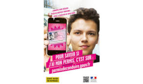 Site pour savoir si on a le permis. Auto Moto Ecole Genevey Resultats Permis