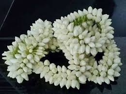 பொங்கலை முன்னிட்டு மல்லிகை பூ கிலோ ரூ. 2500