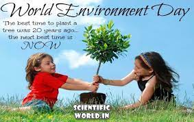 In most countries, it is used as an annual event to enhance political attention. World Environment Day Quotes In Hindi