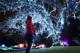 Winter Light Festival Sponsors 2020 2021 Nikka Yuko Japanese Garden