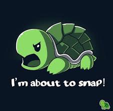 I M About To Snap Cartoon Turtle Cute Animal Quotes Turtle Drawing