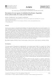 If you have any issues regarding sp bumi online purchase, get support from our eticketing.my customer service by email or call to: Pdf Description Of A New Species Of Rabbitfish Perciformes Siganidae From Southern India Sri Lanka And The Maldives