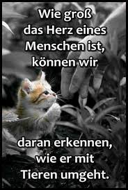 Liebst Du Auch Tiere Daizo Wir Sind Ja Beide Authentisch Stimmt S Ich Liebe Tiere Und Dich Lebensweisheiten Spruche Spruche Tierliebe Spruche Tiere