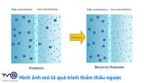 Thông tin tổng quan về màng lọc thẩm thấu ngược RO - TVTS