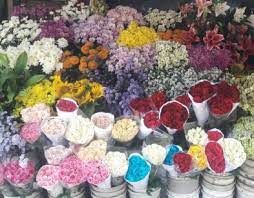 Florist depok prestisa melayani pengiriman karangan bunga papan & bouquet di toko bunga depok dengan layanan pelanggan 24jam seluruh indonesia. Toko Dan Kios Bunga Di Depok Depok Netizen