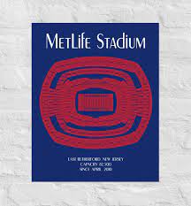 Nfl the Meadowlands - Etsy
