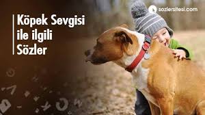 Kopek Sevgisi Ile Ilgili Sozler Kopek Sevgisi Sozleri Guzel Sozler