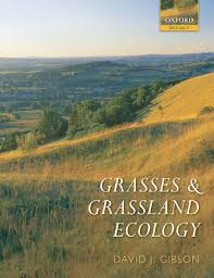 How much of the cactus plant is water depends upon the size of the cactus and the amount of water in moving, processing and stored forms. Https Userweb Weihenstephan De Lattanzi Lit Grasses 20and 20grassland 20ecology Pdf
