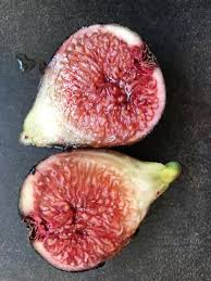 Prune to control size and height. Violette De Bordeaux French Fig Farm