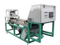 Garlic Sorter Machine Fresh Dry Garlic Color Sorting Machine ...
